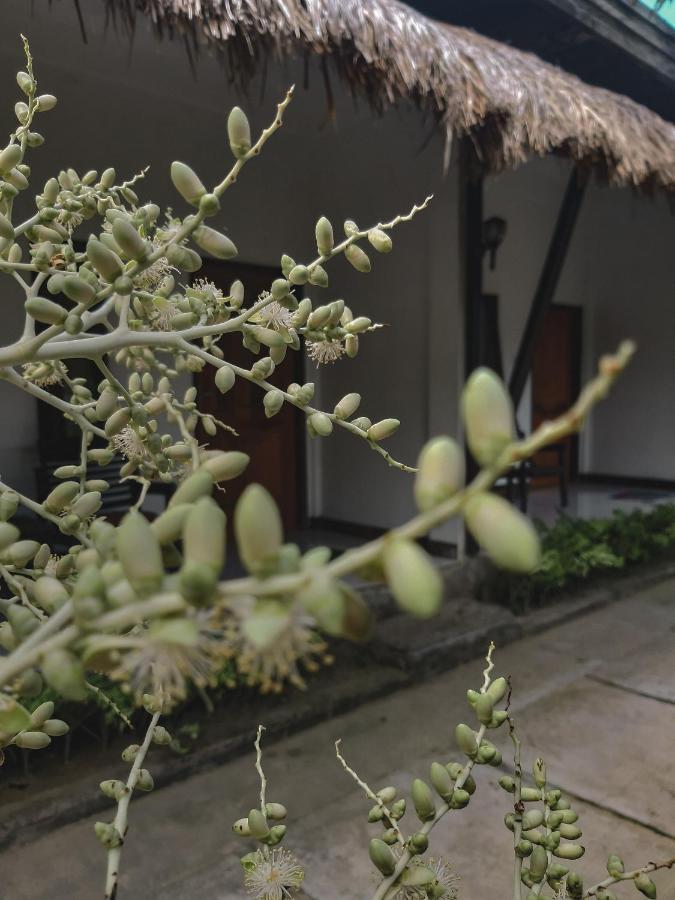 Mimi Kuta Homestay Luaran gambar